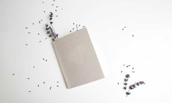Online Journaling Courses